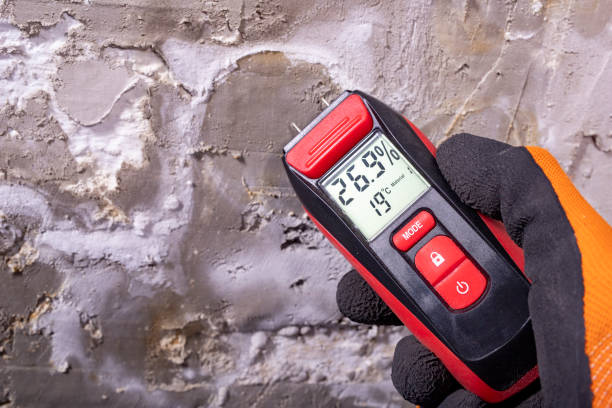 Best Affordable Mold Removal  in Snyder, TX