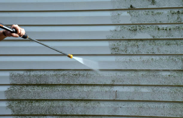 Best Emergency Mold Removal  in Snyder, TX