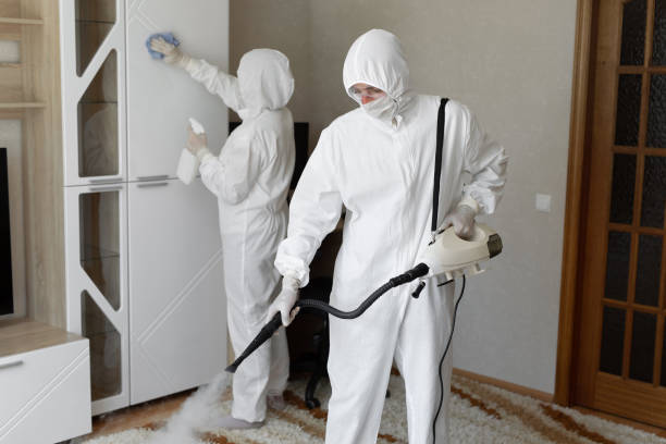 Attic Mold Removal in Snyder, TX